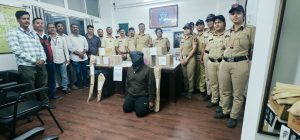 पुणे पोलिसांची कारवाई