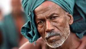 शेतकऱ्यांच्या जमिनी अडकल्या